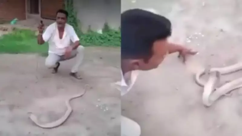 Man Dies Minutes After Attempting to Handle Snake in Viral Video