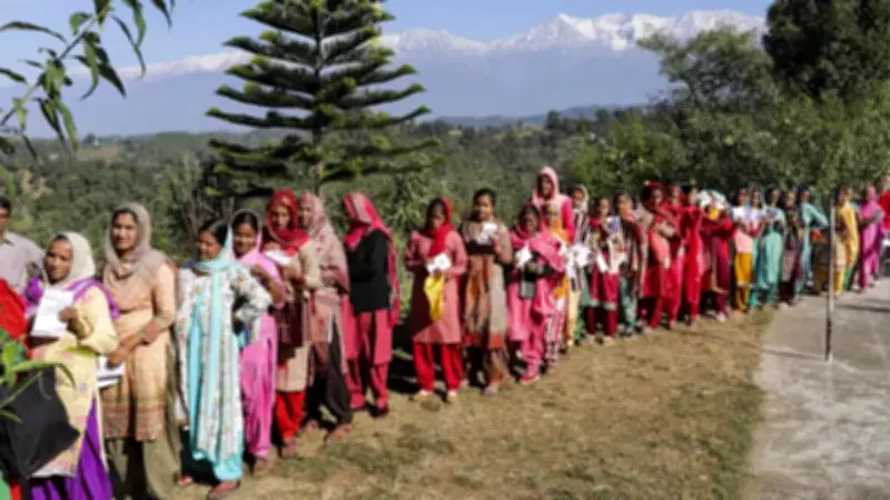 Mandi Municipal Election Results 2026: BJP Wins, Congress Loses