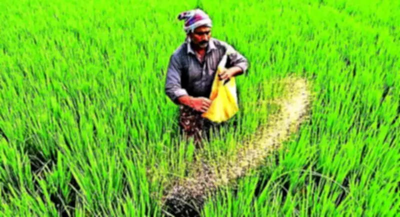 Mandya DC Orders Timely Supply of Quality Seeds, Fertilisers for Monsoon