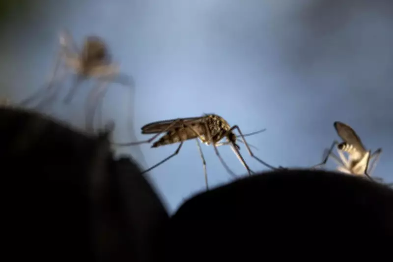 Mandya DC Urges Dengue Precautions as Monsoon Nears