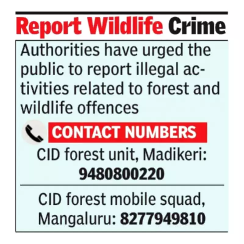 Mangaluru Police Arrest Three for Attempted Sale of Pangolin Scales