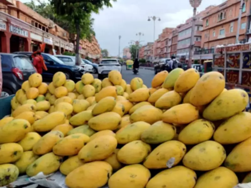 Mango lovers in Jaipur face limited choices due to unseasonal weather, full arrival after May 15
