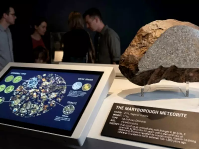Man's 17-Year-Old 'Gold Rock' Turns Out to Be Rare 4-Billion-Year-Old Meteorite
