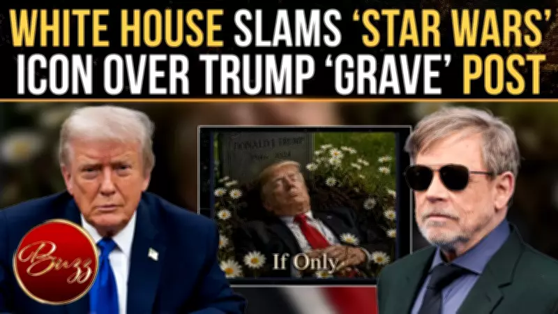 Mark Hamill Sparks Backlash Over AI Trump Grave Image; White House Reacts
