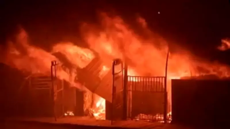 Massive Fire at Delhi Furniture Market Destroys Nearly 300 Shops