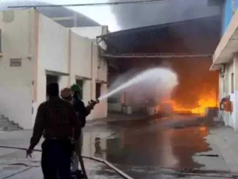 Massive Fire Breaks Out at Paint Factory in Ahmedabad's Sanand Area