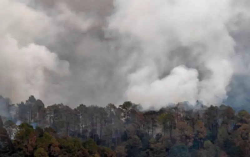 Massive Forest Fire Erupts at Multiple Locations in Rajouri District