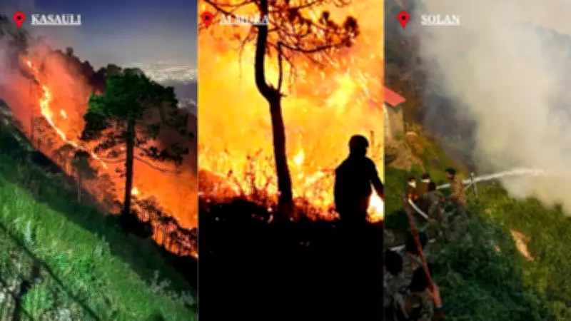 Massive Forest Fires Ravage Uttarakhand, Himachal, J&K; Army, IAF Deployed