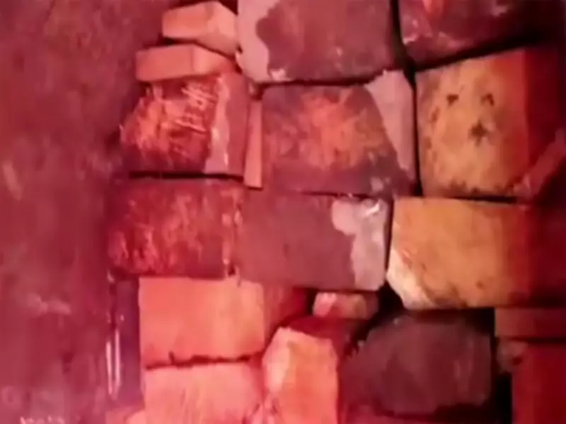 Massive Timber Smuggling Network Exposed in Neelum Valley, PoJK