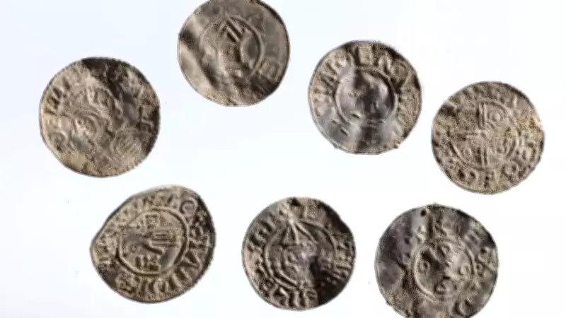 Massive Viking Silver Coin Hoard Unearthed in Eastern Norway