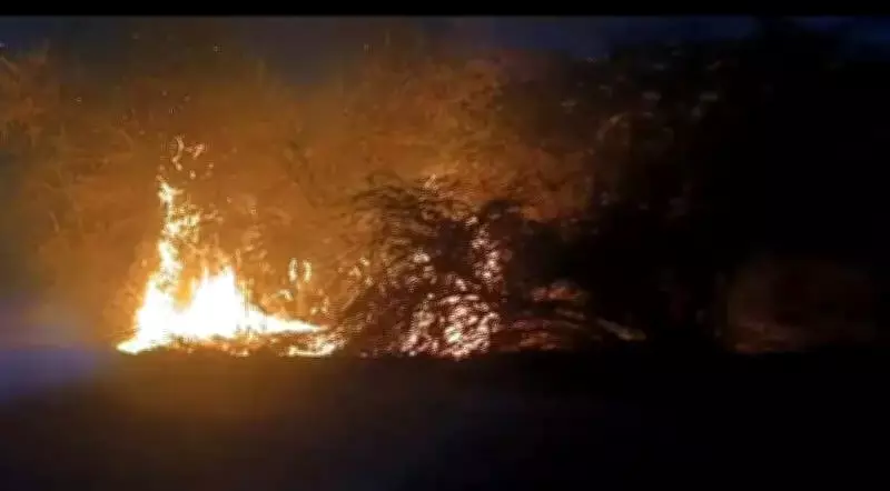 Massive Wildfire in Jaisalmer Devours Thousands of Acres of Forest Land