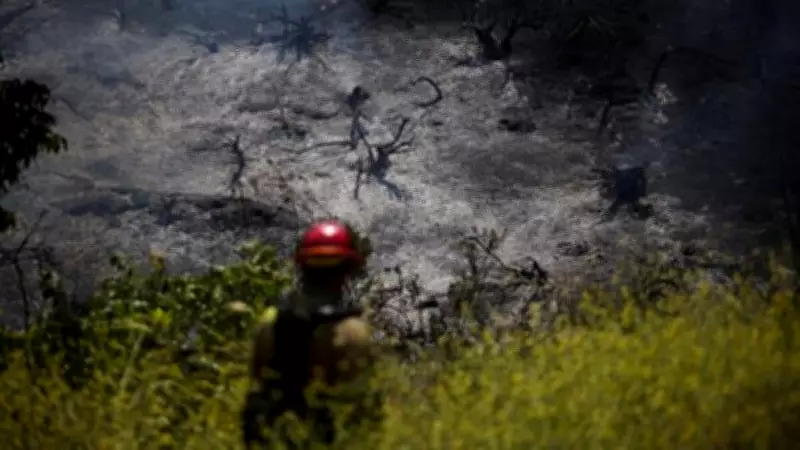 May 19, 2026: Top Global Photos Capture Fog, Protests, and Wildfires