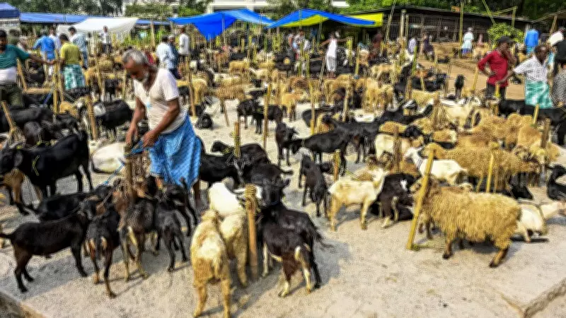 MCD Cancels Nehru Hill Park Allotment for Eid Over Goat Market Dispute