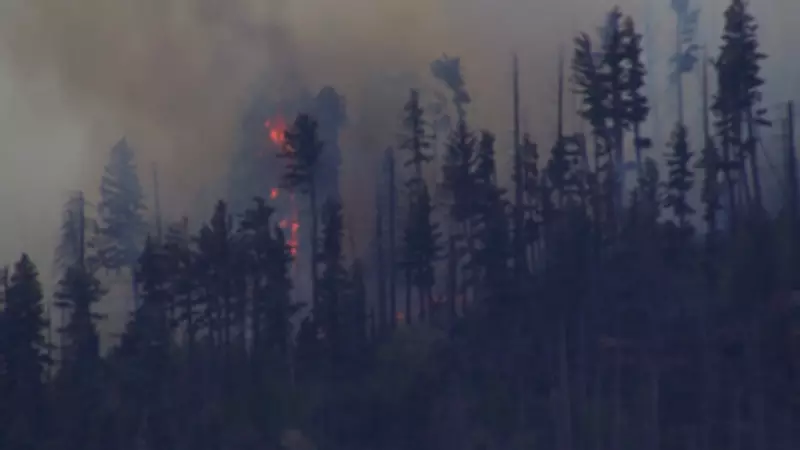 Medical Plane Crashes in New Mexico, Killing All Four Aboard