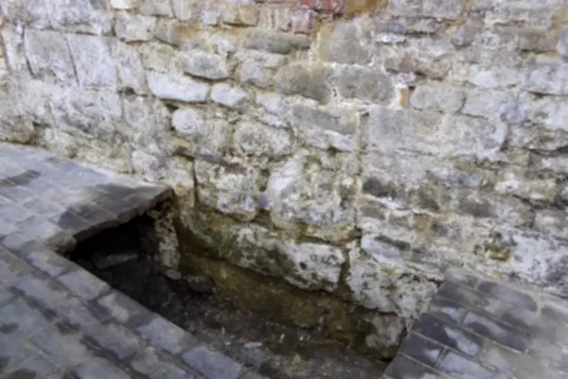 Medieval Cemetery and Lost Church Unearthed Beneath UK Department Store