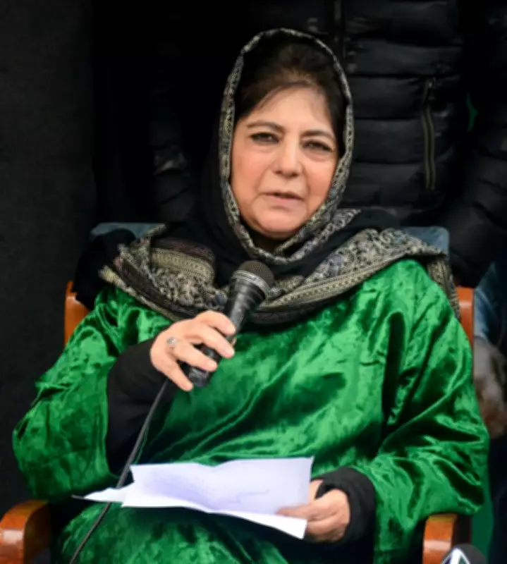 Mehbooba Mufti: Peace in J&K Only Through Dialogue with Pakistan