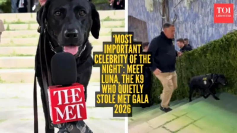 Met Gala 2025: Internet Falls for Luna, the Security Sniffer Dog