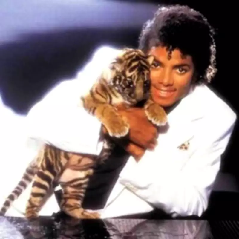 Michael Jackson Biopic 'Michael' Wows Audiences, Jaafar Jackson Says Role Was His 'Calling'