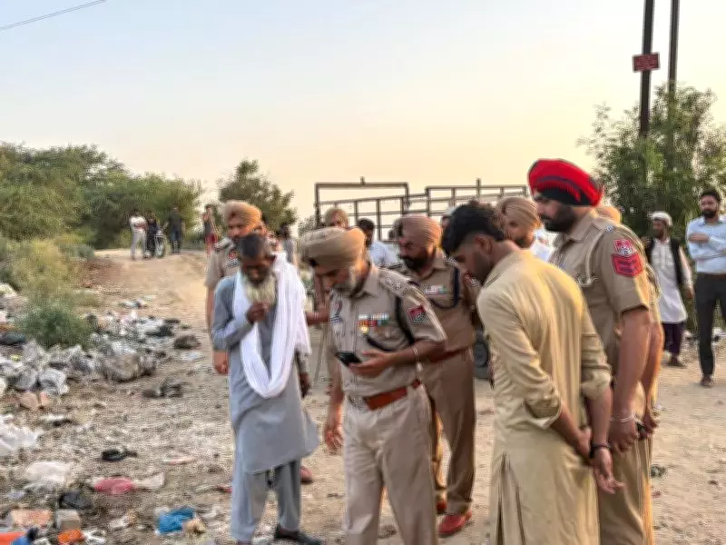Mild Blast at Garbage Dump in Malerkotla Injures Man, Kills Buffalo