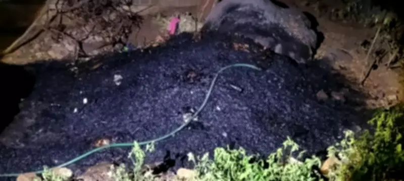 Minor Fire at KBR National Park in Hyderabad Extinguished Quickly, No Injuries
