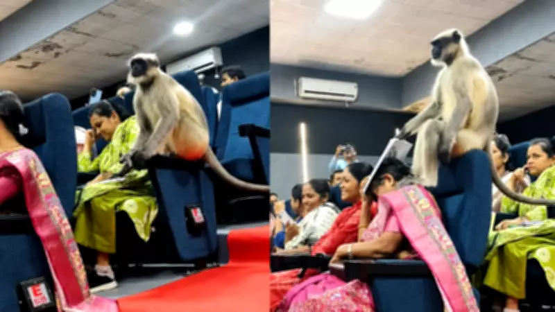 Monkey Casually Joins Government Workshop in Gujarat, Stuns Attendees