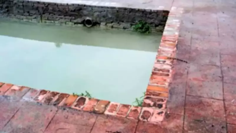 Monsoon Gardening Mistakes That Attract Mosquitoes to Indian Homes