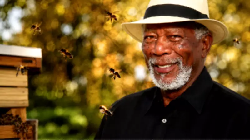 Morgan Freeman Transforms Ranch into Bee Sanctuary to Protect Pollinators