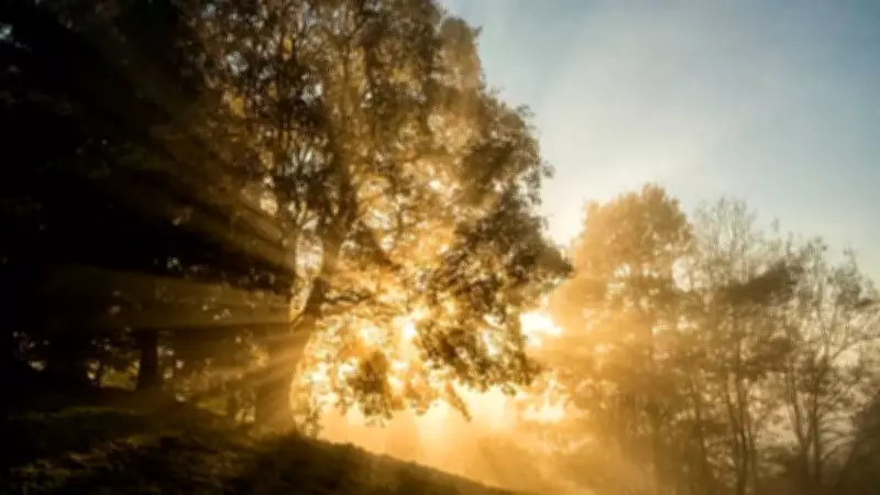 Morning Affirmation at 5 AM: Silent Ritual for Mental Strength