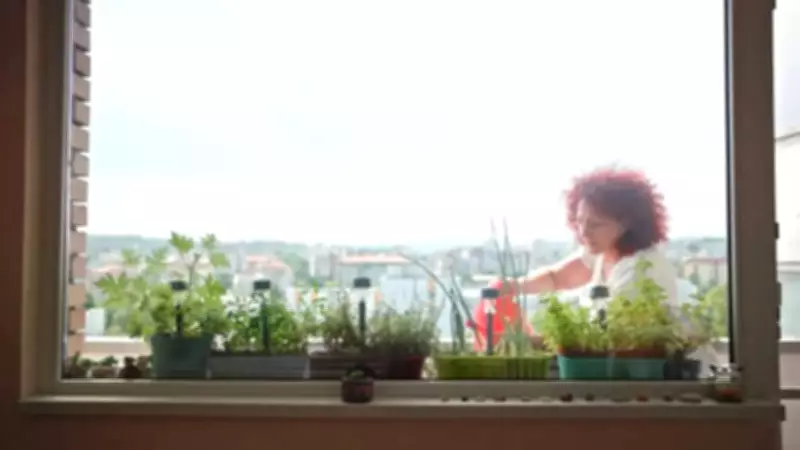 Morning Affirmation at 5 AM: The Self-Talk Habit Quietly Changing People’s Mornings
