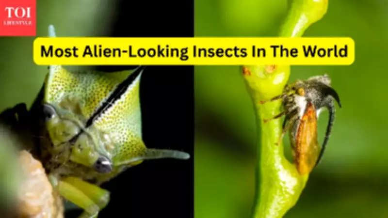 Most Alien-Looking Insects in the World and Forests to Find Them
