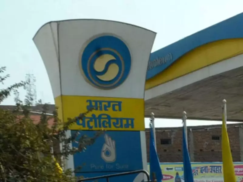 Mozambique LNG Project Reaches 42% Completion, BPCL Says