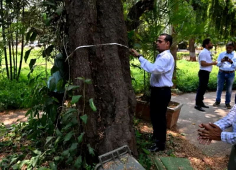 Mumbai Begins First Tree Census in 8 Years with 64 Botanist Teams