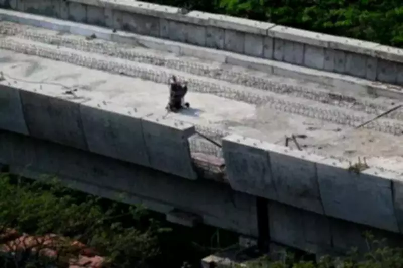 Mumbai Court Grants Bail to Welder in Metro Line 4 Parapet Collapse Case