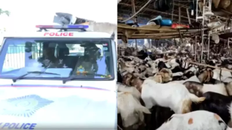Mumbai Police Cancels Goat Sacrifice After Community Clash in Goregaon