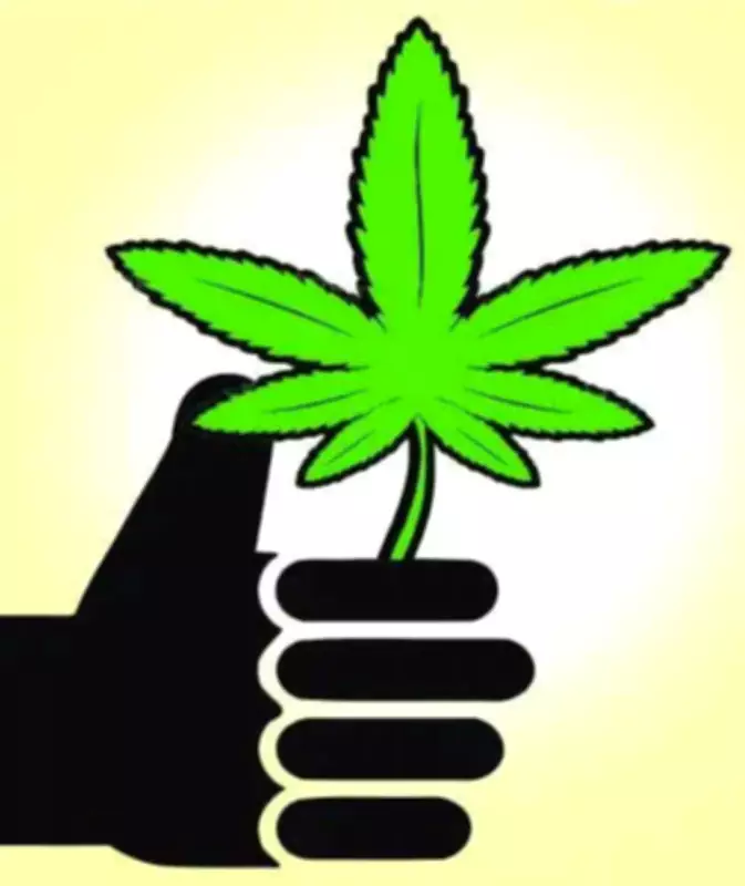 Mumbai Police Destroy Illegal Cannabis Saplings Near Bhandup Hill Reservoir