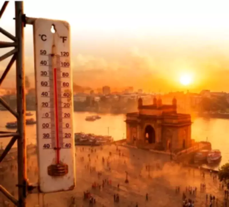 Mumbai to See 1°C Rise, More Heavy Rain by 2030s: Study