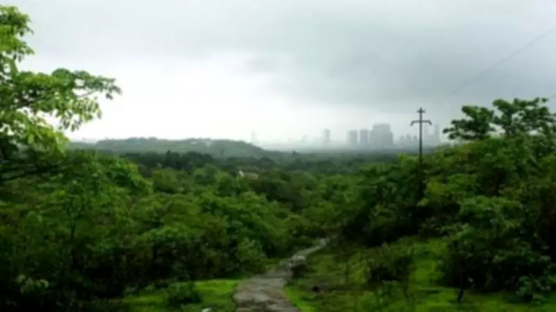 Mumbai's Aarey Colony to Host Massive Tree Plantation Drive