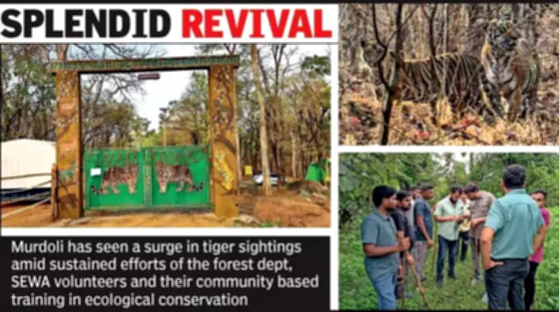 Murdoli Transforms from Conflict Zone to Thriving Tiger Habitat and Safari Destination