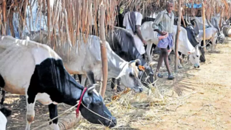 Muslim Leader Backed Cow Slaughter Ban as Fundamental Right in Assembly