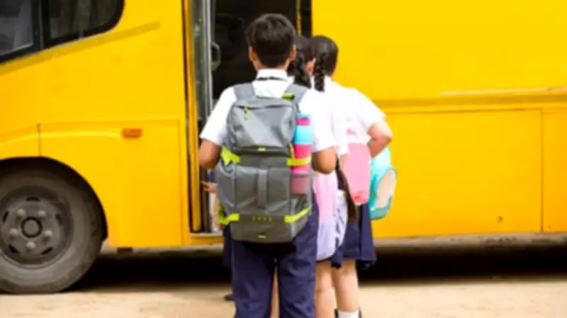 My Beloved School Bag Zane: A Year of Friendship and Adventures