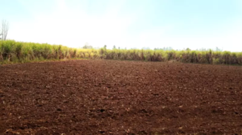 Mysuru Land Scam: Villagers Threaten Stir Against Officials