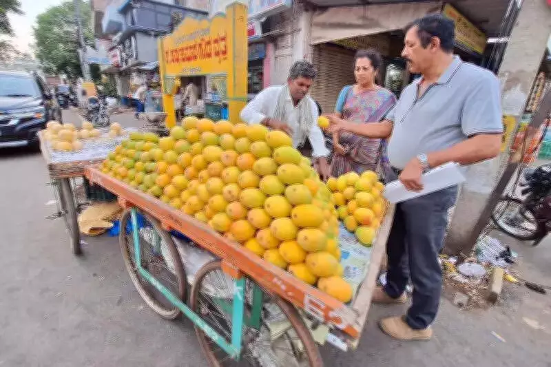 Mysuru Mango Prices Drop Sharply Ahead of Peak Season