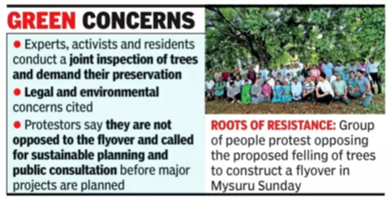 Mysuru Tree Felling Protest Intensifies Ahead of Flyover Construction