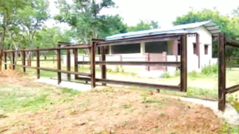 Mysuru's Budipadaga Elephant Camp Lies Vacant After Rs 2 Crore Investment