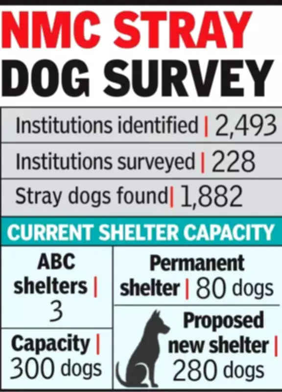 Nagpur Survey Reveals 1,882 Stray Dogs in Public Institutions, No Shelter Space Available