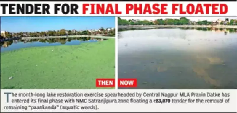 Nagpur's Naik Talao restoration enters final phase with NMC tender for weed removal