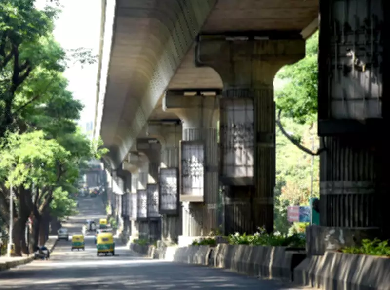 Namma Metro Services Disrupted for Third Time in a Month Due to Tree Branch on Track