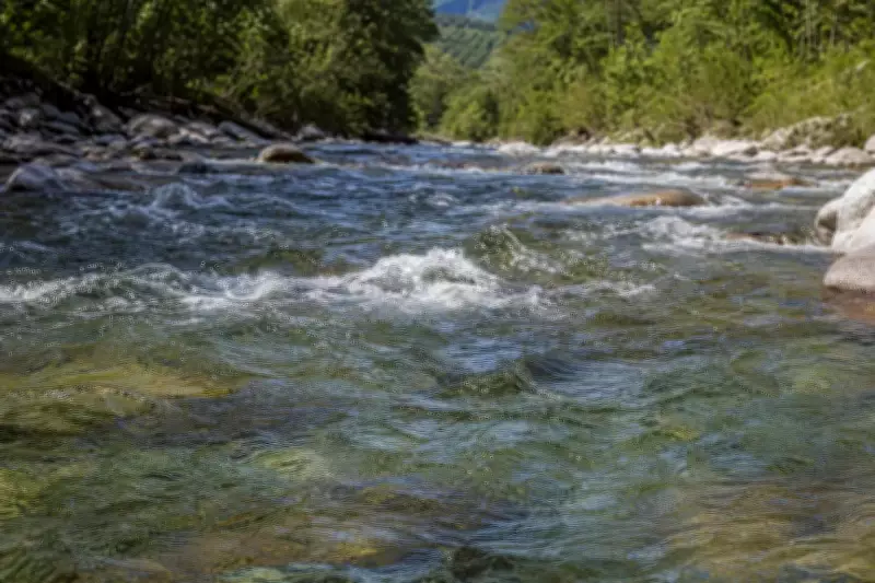 Nashik River-Linking Project Seeks Forest, Environment Clearances