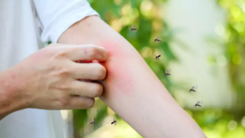 National Dengue Day 2026: Dengue Now a Year-Round Threat, Early Signs Often Missed