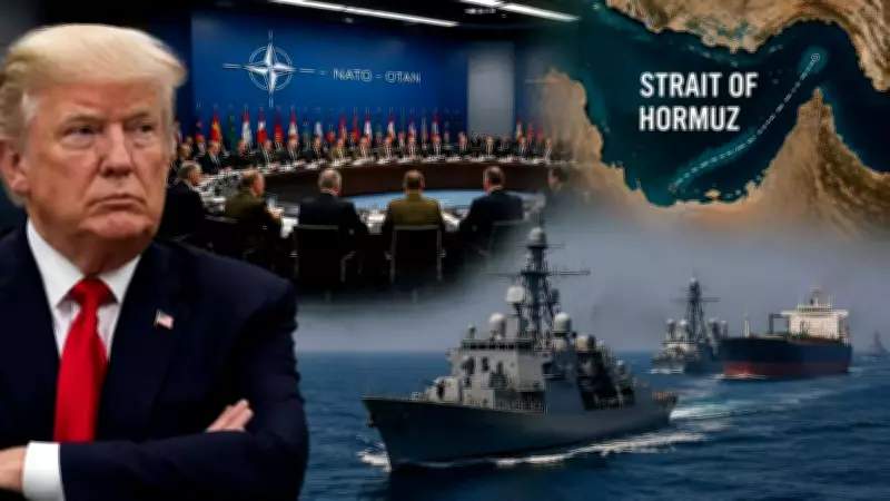 NATO Considers Deploying Forces to Protect Shipping in Strait of Hormuz